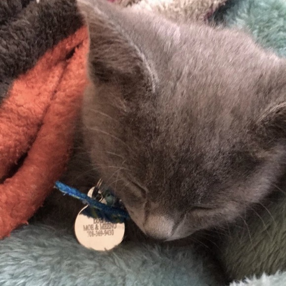 Meet your Posher, Yasmin - Picture 1 of 1